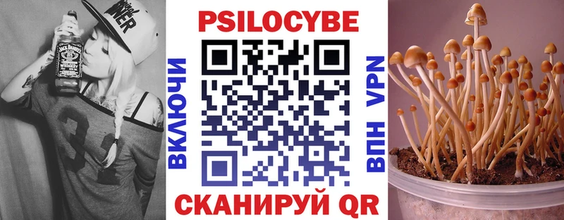 omg tor  Приозерск  Псилоцибиновые грибы Psilocybe  купить наркотик 
